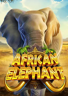 African Elephant